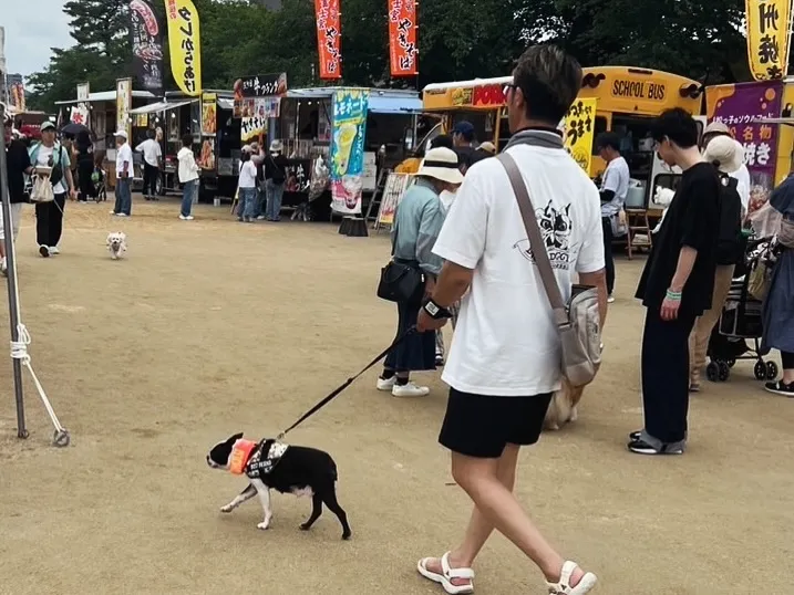 @boogie_doggy9944👈フォローして最新情報をG...