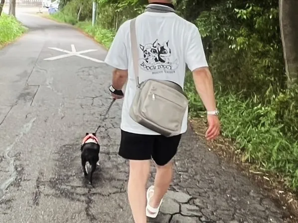 @boogie_doggy9944👈フォローして最新情報をG...