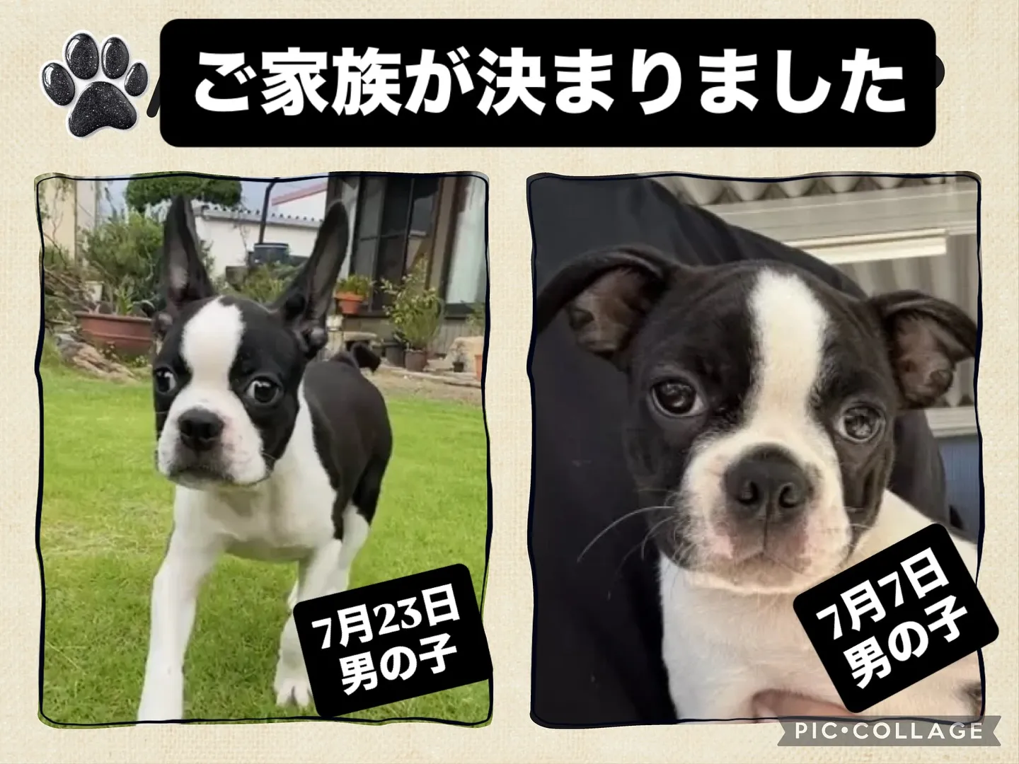 ご家族が決まりました^_^