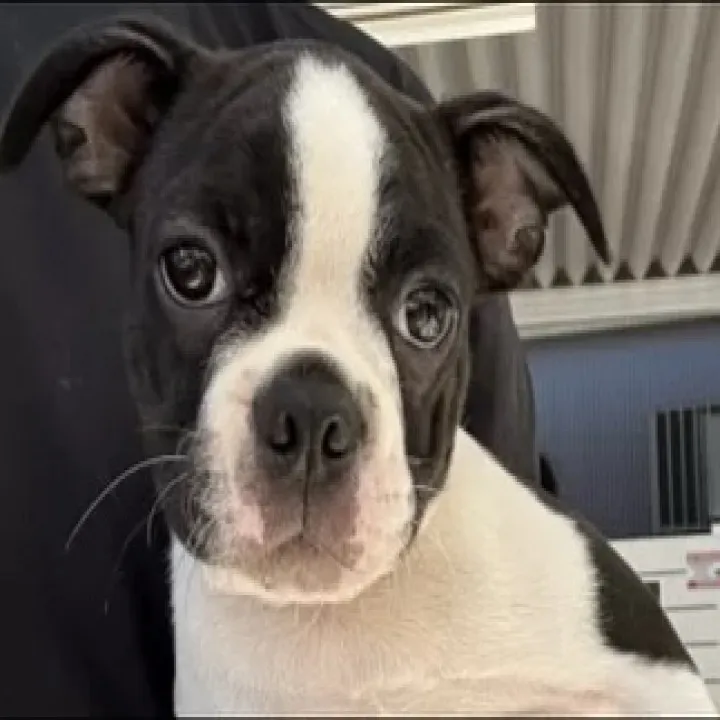 ご家族が決まりました^_^