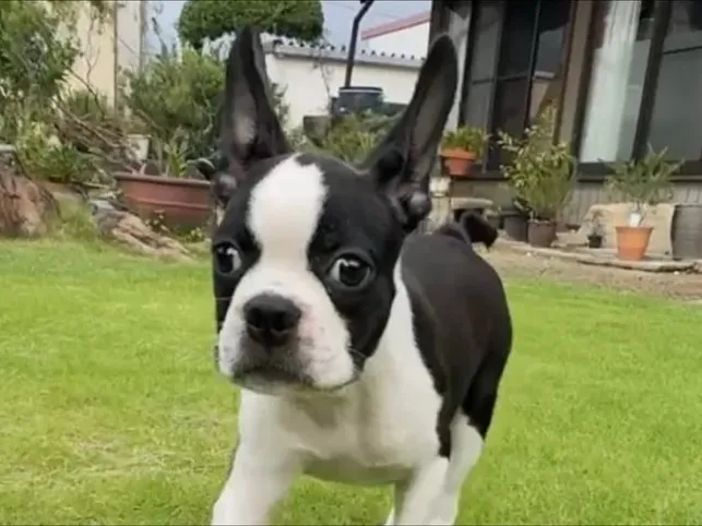 ご家族が決まりました^_^