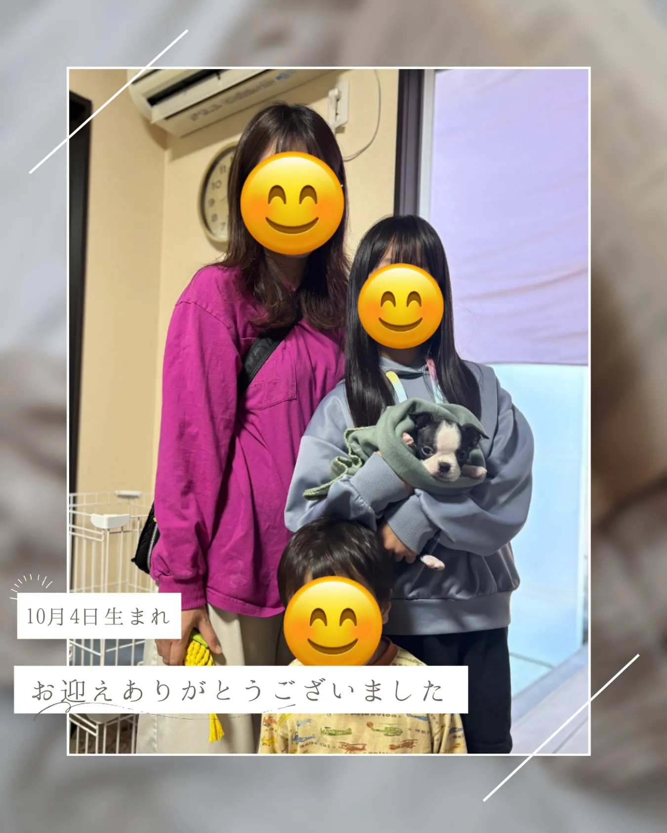 @boogie_doggy9944👈フォローして最新情報をG...