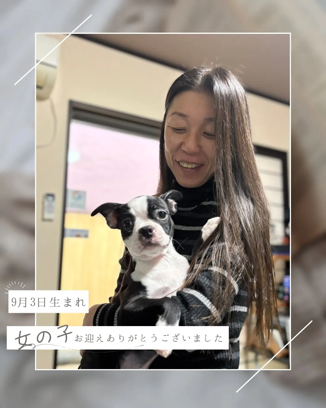 @boogie_doggy9944👈フォローして最新情報をG...