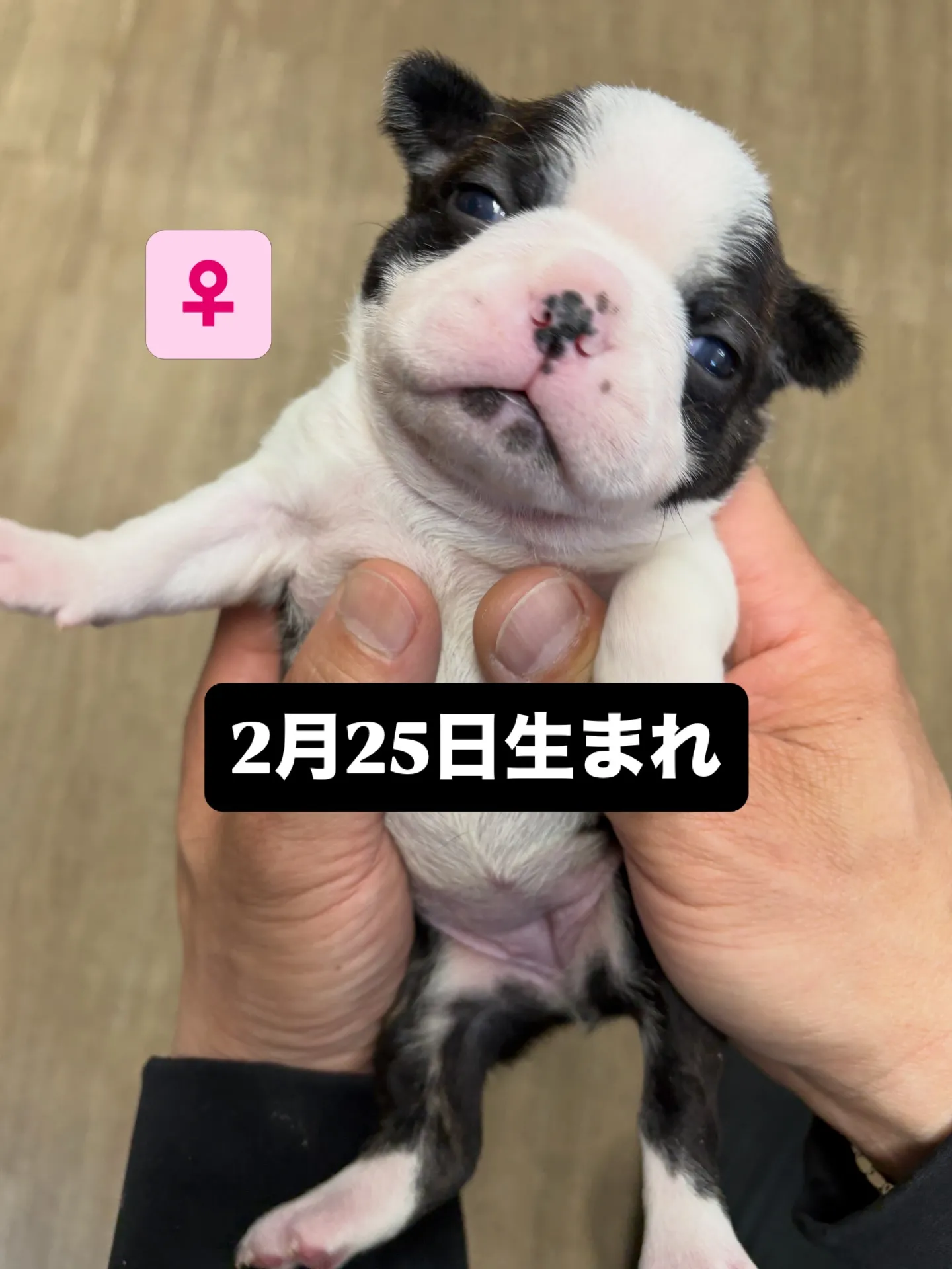 すくすくまるまる成長中です😆