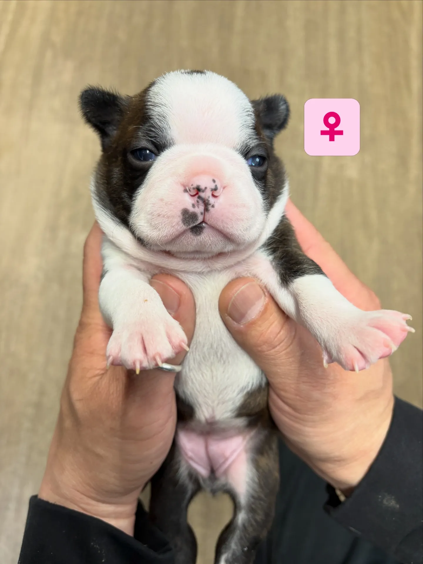 すくすくまるまる成長中です😆