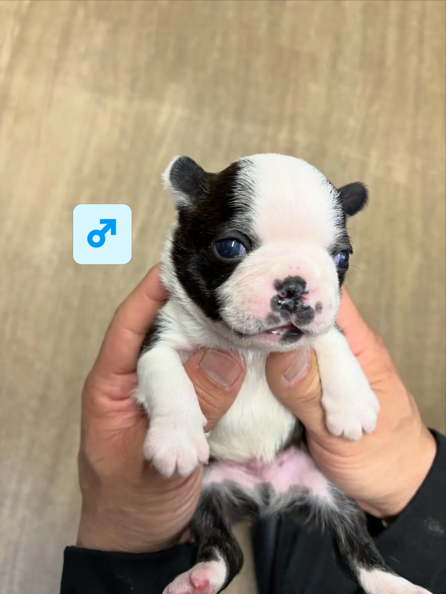 すくすくまるまる成長中です😆