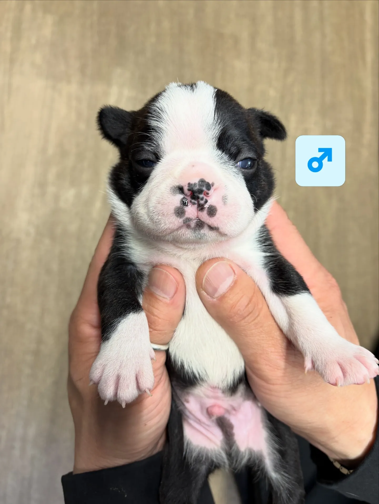 すくすくまるまる成長中です😆