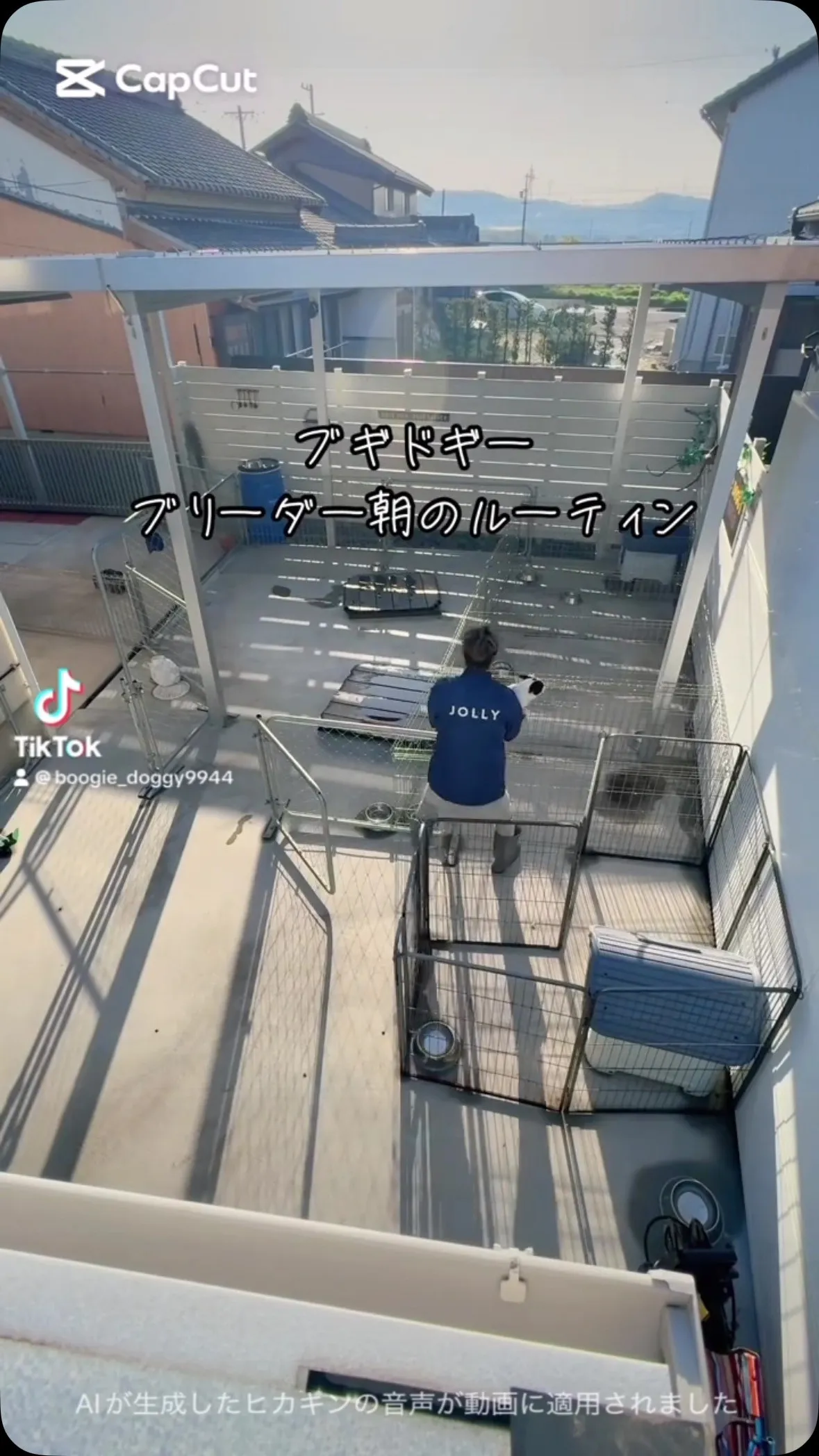 @boogie_doggy9944👈フォローして最新情報をG...