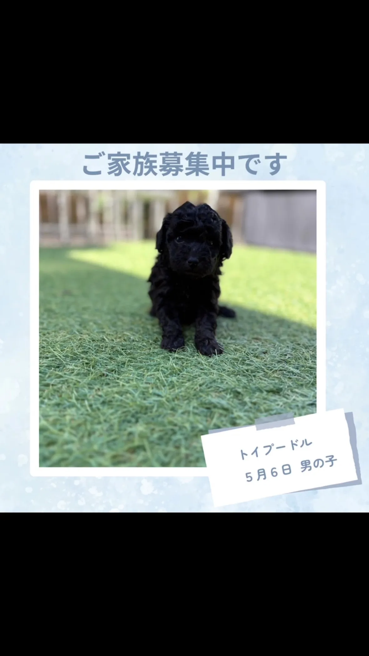 @boogie_doggy9944👈フォローして最新情報をG...