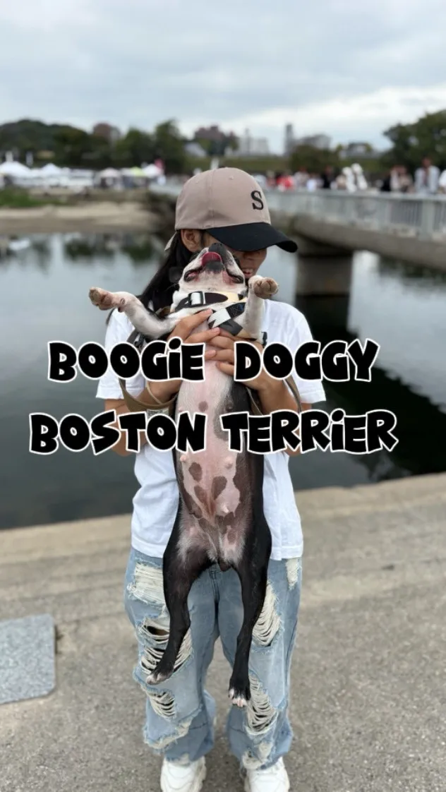 犬市場に行ってきました☺️