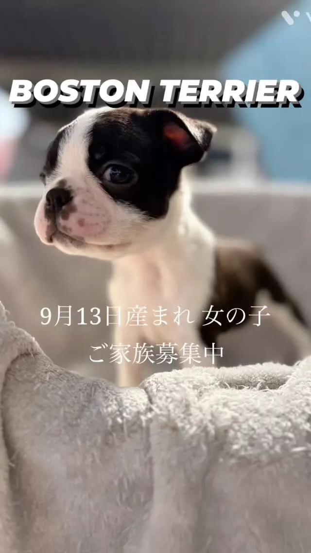 小さいおっとりした女の子です^_^