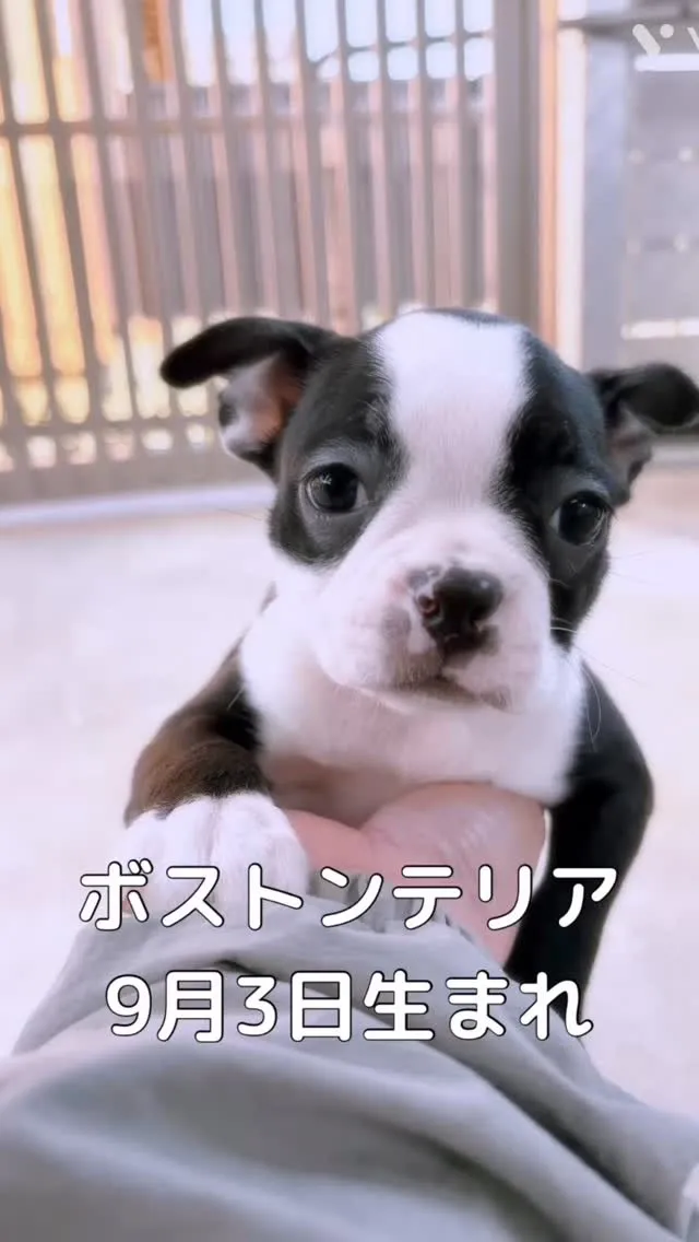 ご家族募集中です^_^