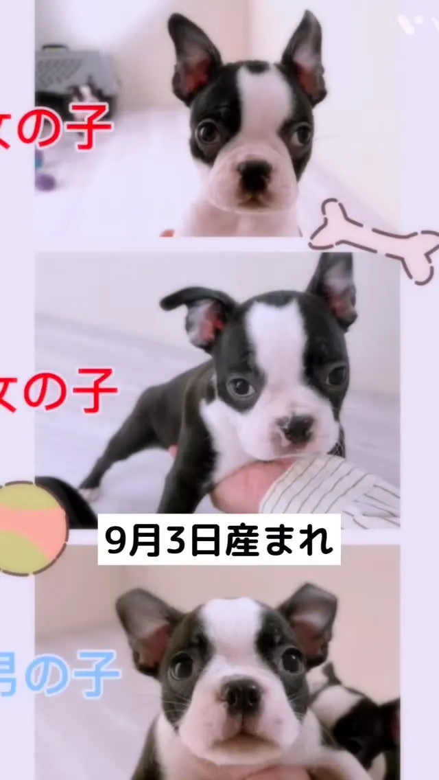 ご家族募集中です^_^