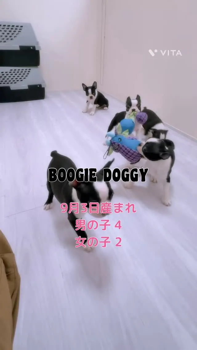 ご家族募集中ですのでお気軽にお問い合わせください