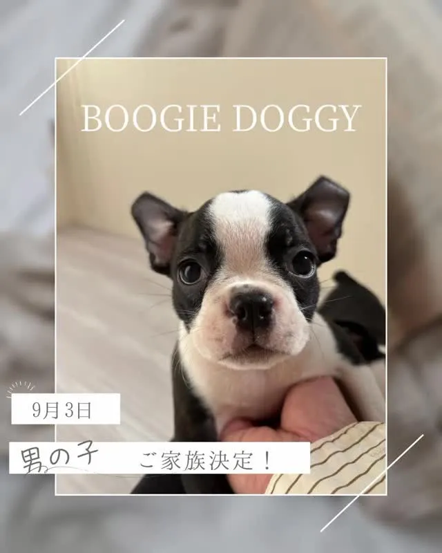 ご家族が順番に決まってきてます^_^