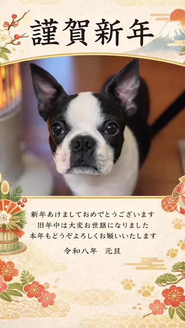 @boogie_doggy9944👈フォローして最新情報をG...