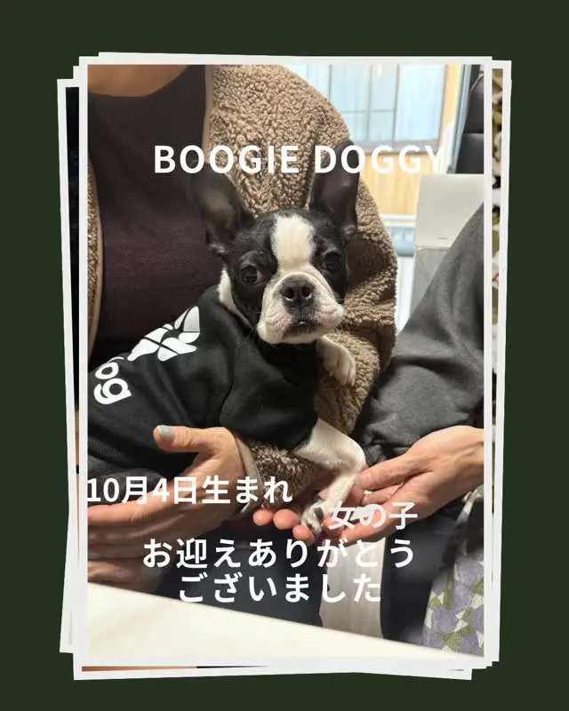 遠方からお迎えありがとうございました😊