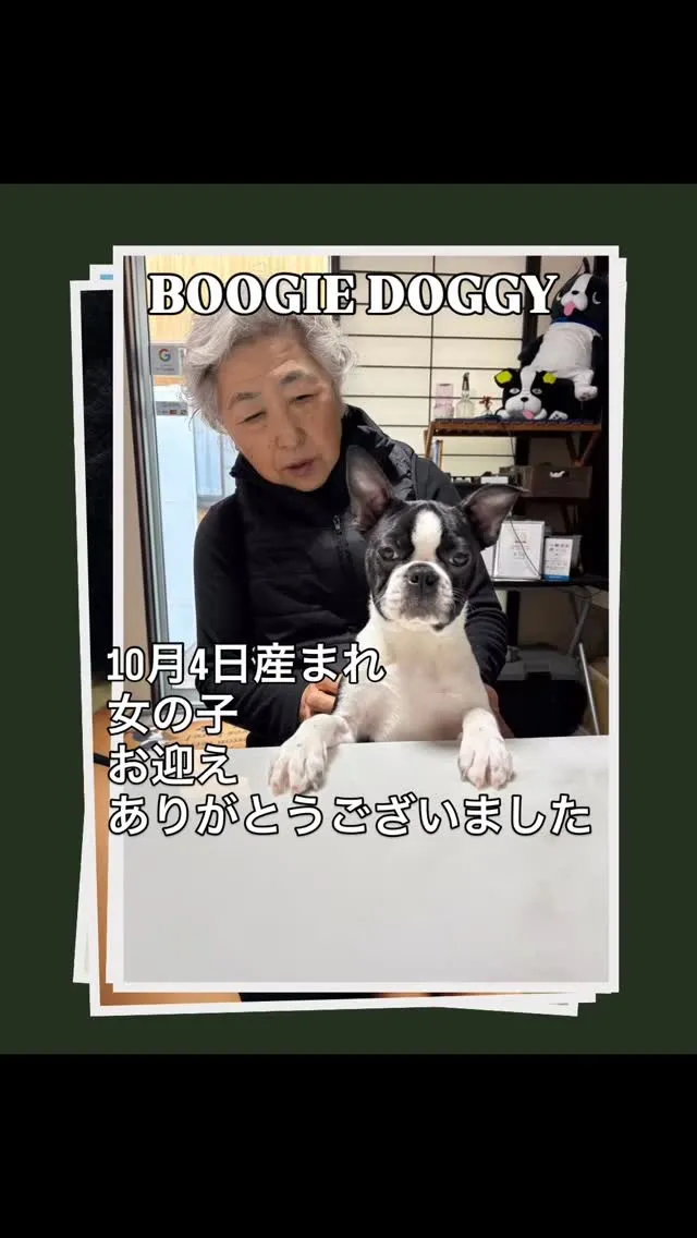 見学に来ていただいて、そのままお迎えが決まりました^_^