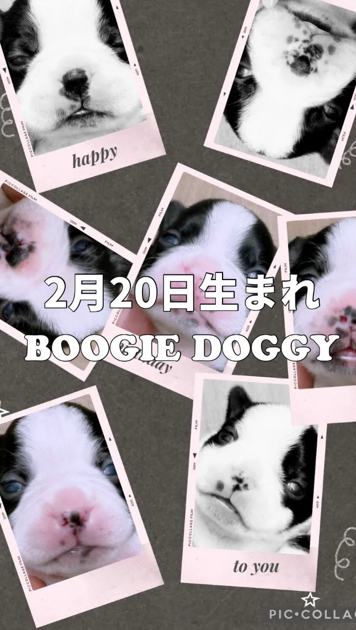 目が開いてきました^_^