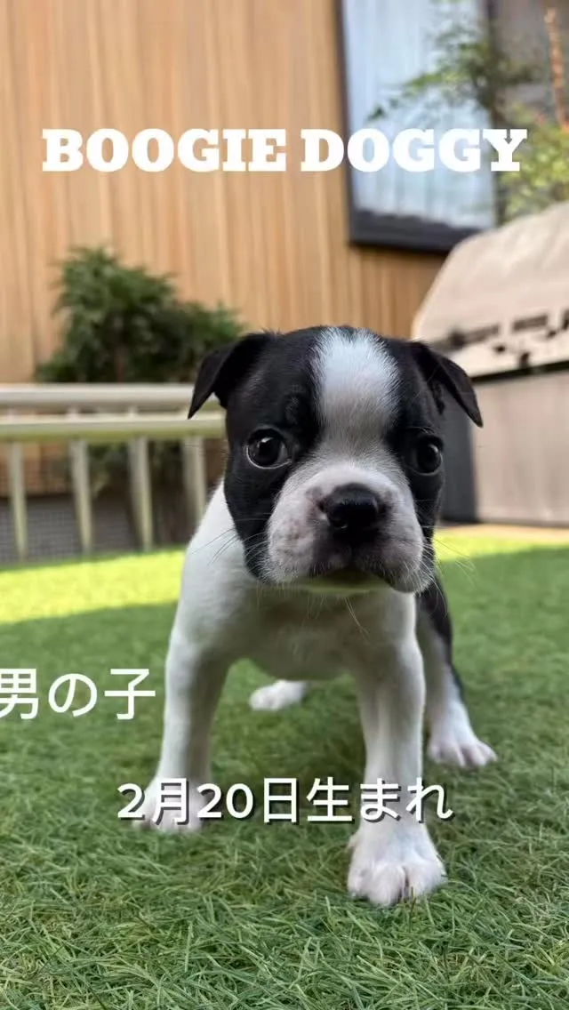 順調に成長中です😊