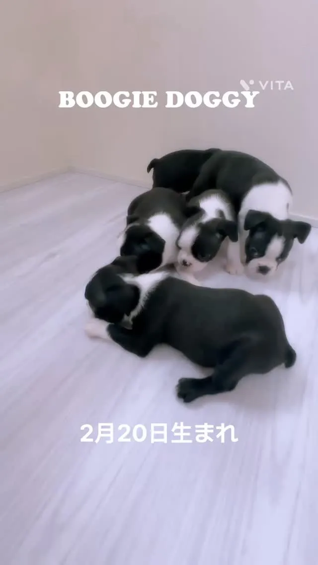 みんなすくすく成長中‼️☺️