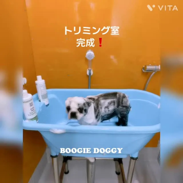 トリミング室完成しました^_^