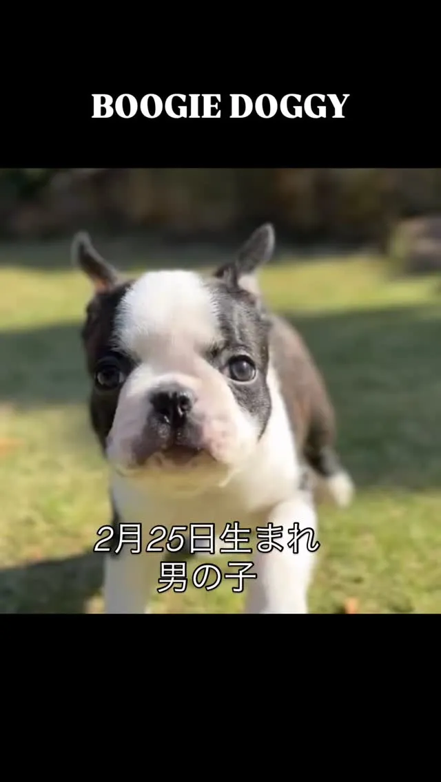 とっても元気にすくすく成長してます^_^