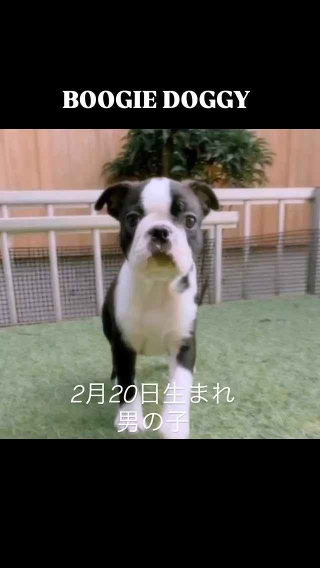 もう親から離れて元気に過ごしてます😆