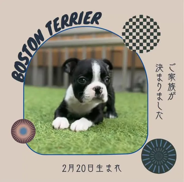 ご家族が決まりました♪