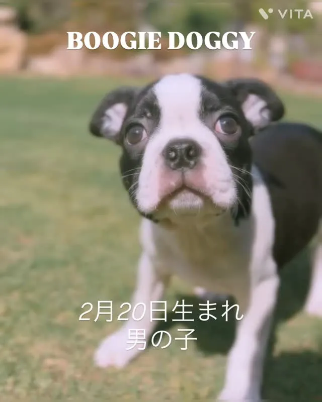 元気にすくすく成長中❗️