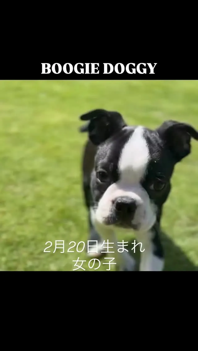 少しキリッとした目の女の子^_^