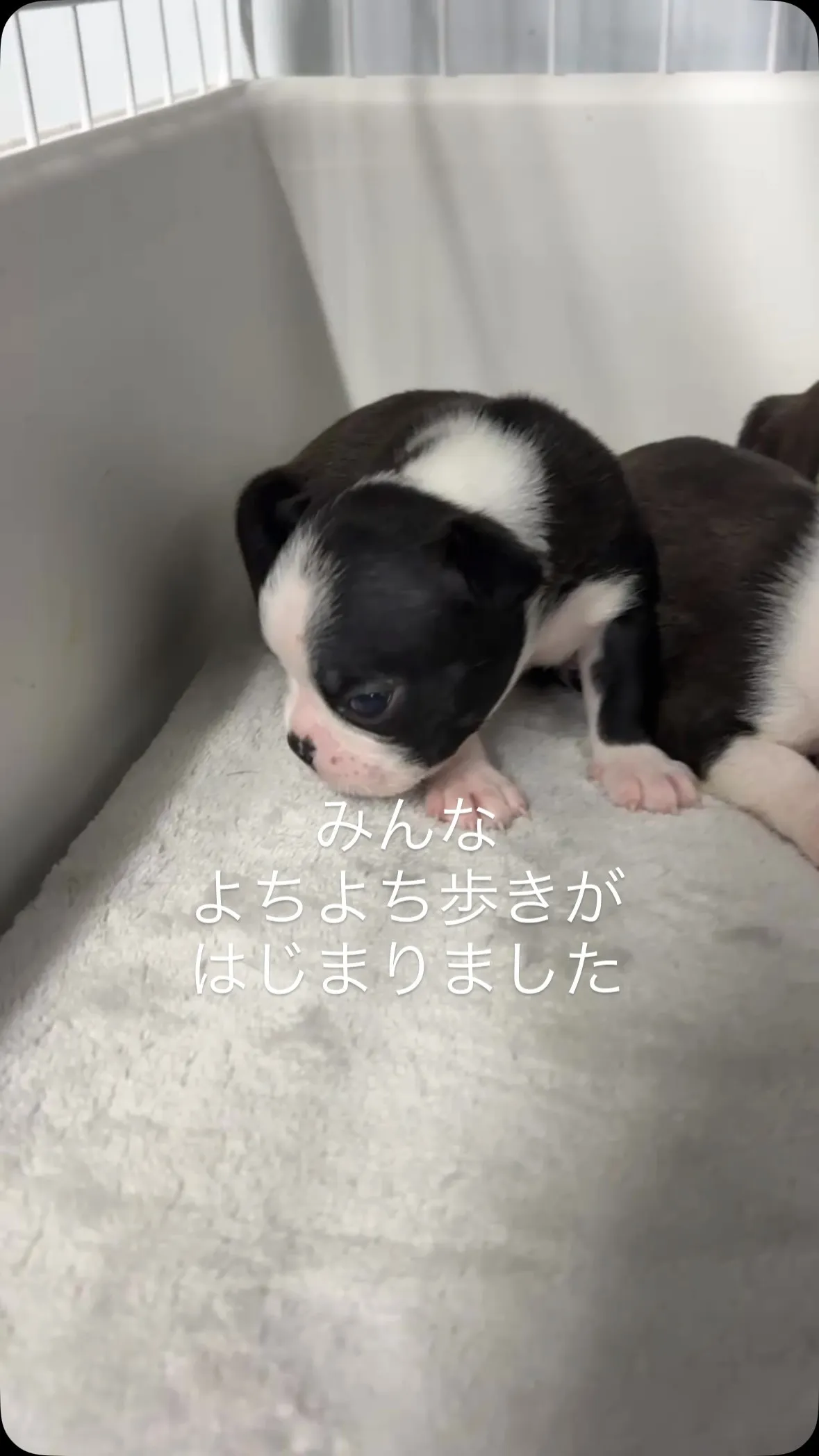 5月15日生まれの兄妹☺️