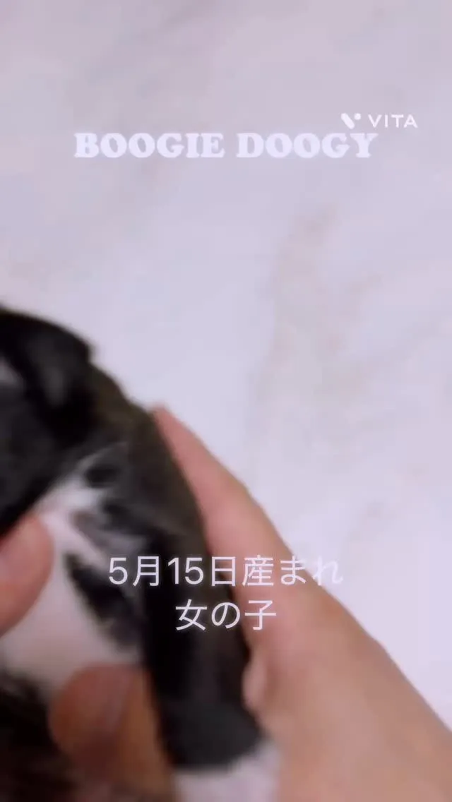 ご家族が決まりました☺️