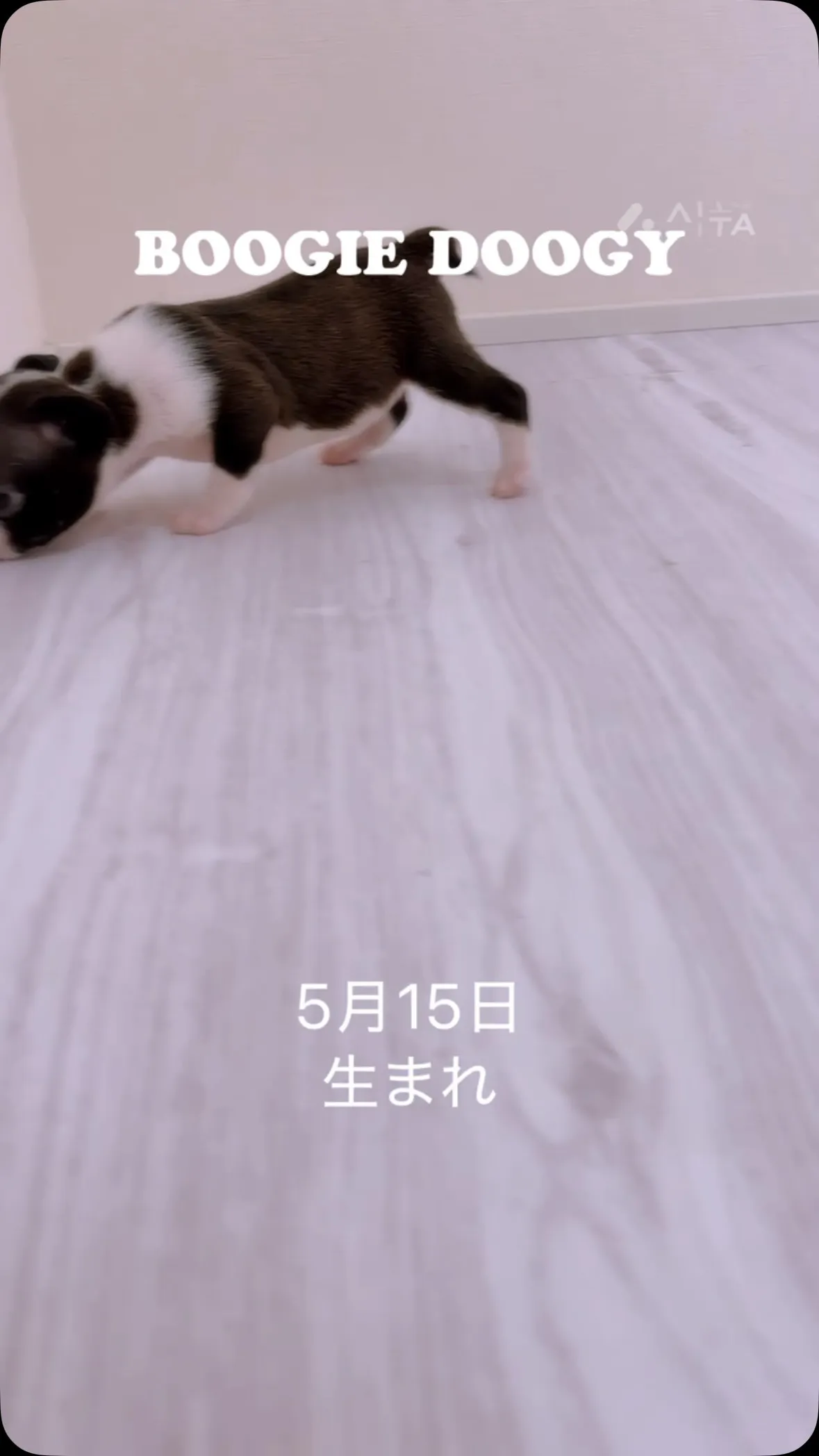 みんな元気いっぱいです😄