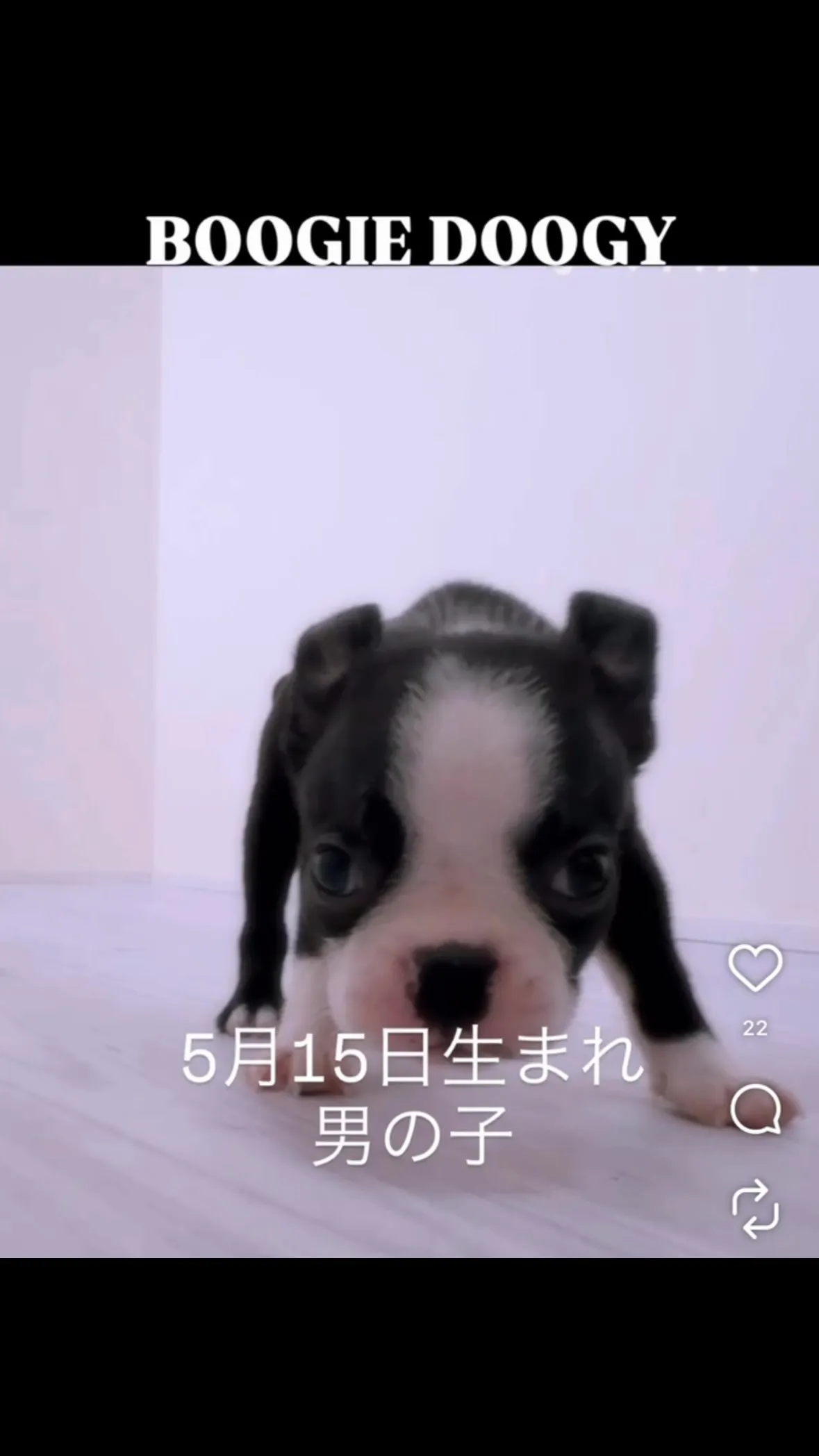 ご家族が決まりました☺️