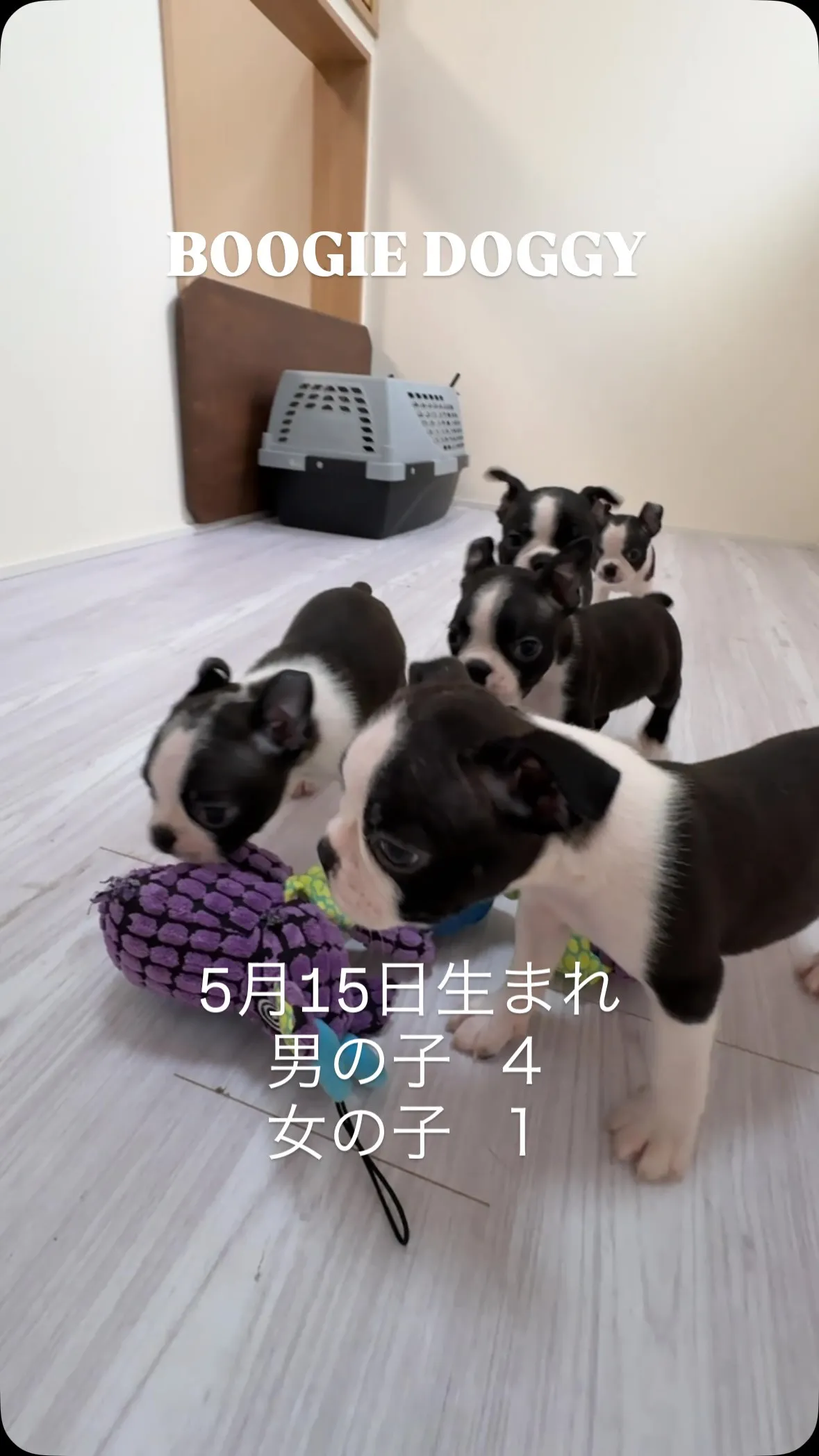 みんな元気にすくすく成長中です😆
